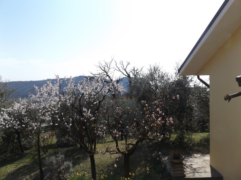 Villa Rocca Marciaga Bagian luar foto